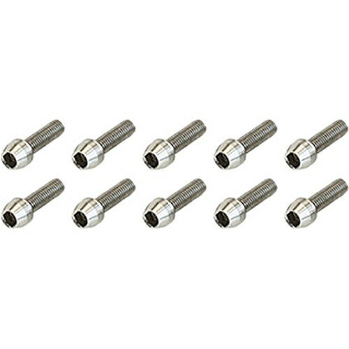 樂天商城 - 【メーカー純正品】【正規代理店品】ADEPT(アデプト) AS5 ステンレス ボルト セット M5x18mm 【自転車用品】