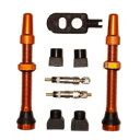 【メーカー純正品】【正規代理店品】ブラックオックス(Black OX) チューブレスバルブキット TL Valve Kit 50mm Orange【返品不可】