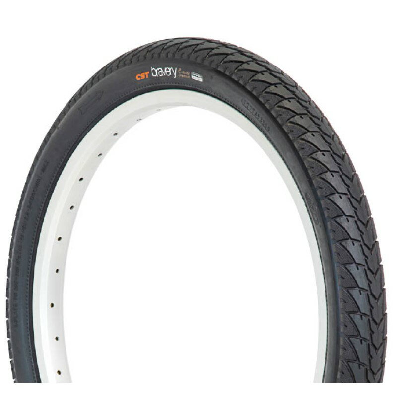 GP ブレイヴァリー (2本巻) 20x1.95 BLK