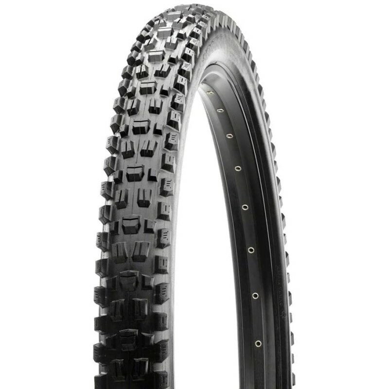 【メーカー純正品】【正規代理店品】MAXXIS(マキシス) タイヤ アセガイ 29x2.50WT EXO+ 【MTB】