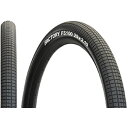 【メーカー純正品】【正規代理店品】 TIOGA(タイオガ) FS100 29x2.10【返品不可】