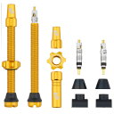 WOLF TOOTH チューブレスバルブ Tubeless Valve Stem Kit 60mm ゴールド