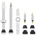 WOLF TOOTH チューブレスバルブ Tubeless Valve Stem Kit 60mm ロウシルバー