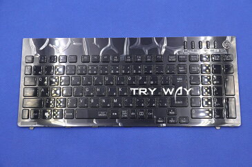 NEC (LaVie G タイプS) GN255S/S2 PC-GN255SSA2 PC-GN255SSD2 PC-GN255SSG2 PC-GN255SSL2 日本語キーボード