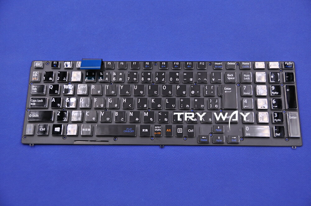 NEC（LAVIE Direct NS [Note Standard]） GN254B/C9 PC-GN254BCA9 PC-GN254BCD9 PC-GN254BCG9 PC-GN254BCL9 日本語キーボード