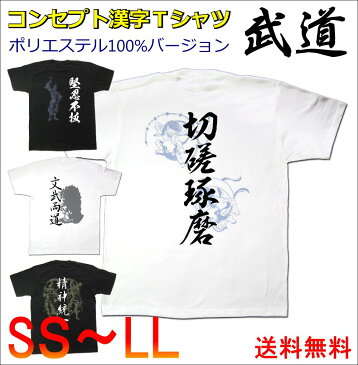 スポーツや武道にドライ・メッシュ漢字Tが登場コンセプト漢字Tシャツ【武道】（ポリ100%バージョン）漢字 Tシャツ お土産 海外 留学 ホームステイ 外国 プレゼントビッグサイズ対応TシャツSS〜LL