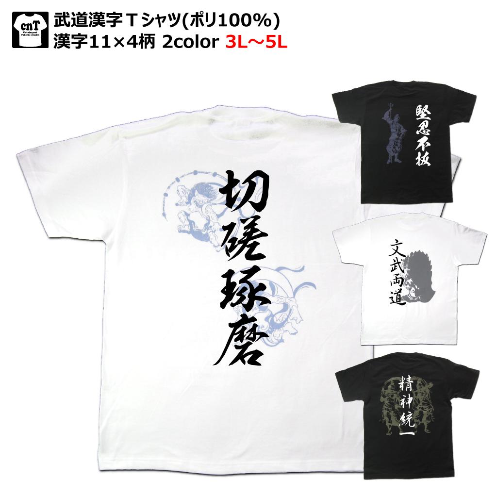 コンセプト漢字Tシャツ【武道】 ポリ100%バージョン スポーツや武道にドライ・メッシュ漢字T大きいサイズ漢字 Tシャツ お土産 海外 留学 ホームステイ 外国 プレゼントビッグサイズ3L〜5L