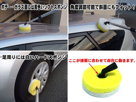 ���֥��ݥ󥸥֥饷���ʴݷ���Ƭ�Τ�