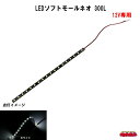 SM-04 LEDソフトモールネオ 300L 12V