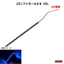 SM-04 LEDソフトモールネオ 300L 24V
