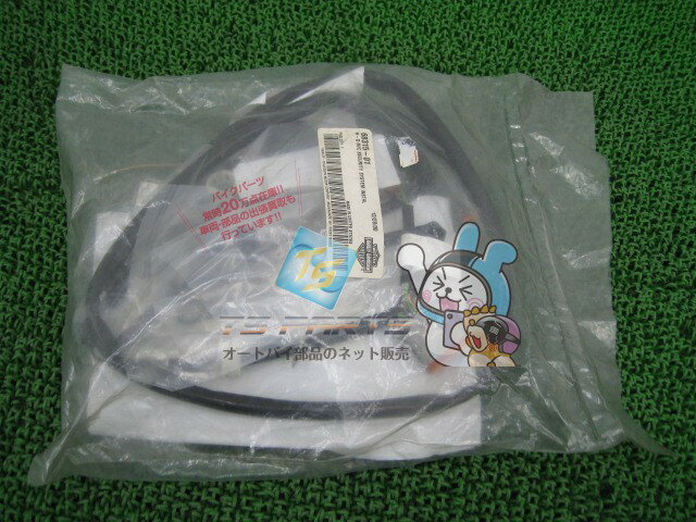 FXD セキュリティーシステムキット 在庫有 即納 ハーレー 純正 新品 バイク 部品 車検 Genuine oY