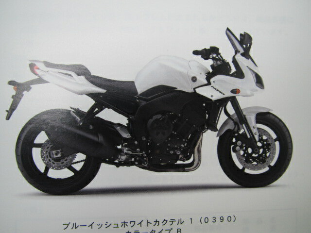 FZ1-S パーツリスト 1版 ヤマハ 正規 バイク 整備書 1CA8 RN21J KV 車検 パーツカタログ 整備書 【中古】 2