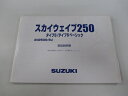 スカイウェイブ250タイプS タイプSベーシック 取扱説明書 スズキ 正規 バイク 整備書 AN250S AN250SU CJ46A Kw 車検 整備情報 【中古】