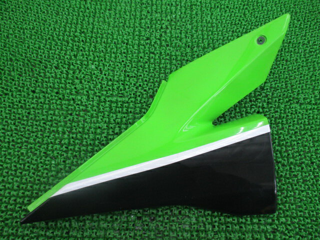 ZX-10R サイドカバー 右 ZXT00C-0110** カワサキ 純正 バイク 部品 ZXT00C 実動車外し 割れ欠け無し そのまま使える 車検 Genuine 【中古】