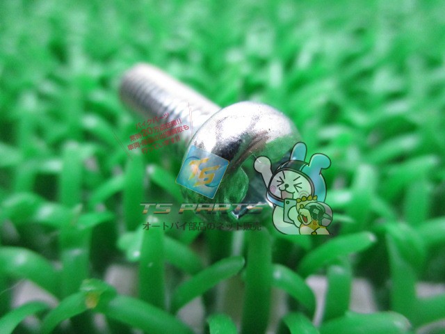 ƥѡġŷԾŹ㤨֥ѡ 塼 C50 C70 C90 ߸ͭ ¨Ǽ ۥ   Х  ָ Genuine C90 C70 C50פβǤʤ280ߤˤʤޤ