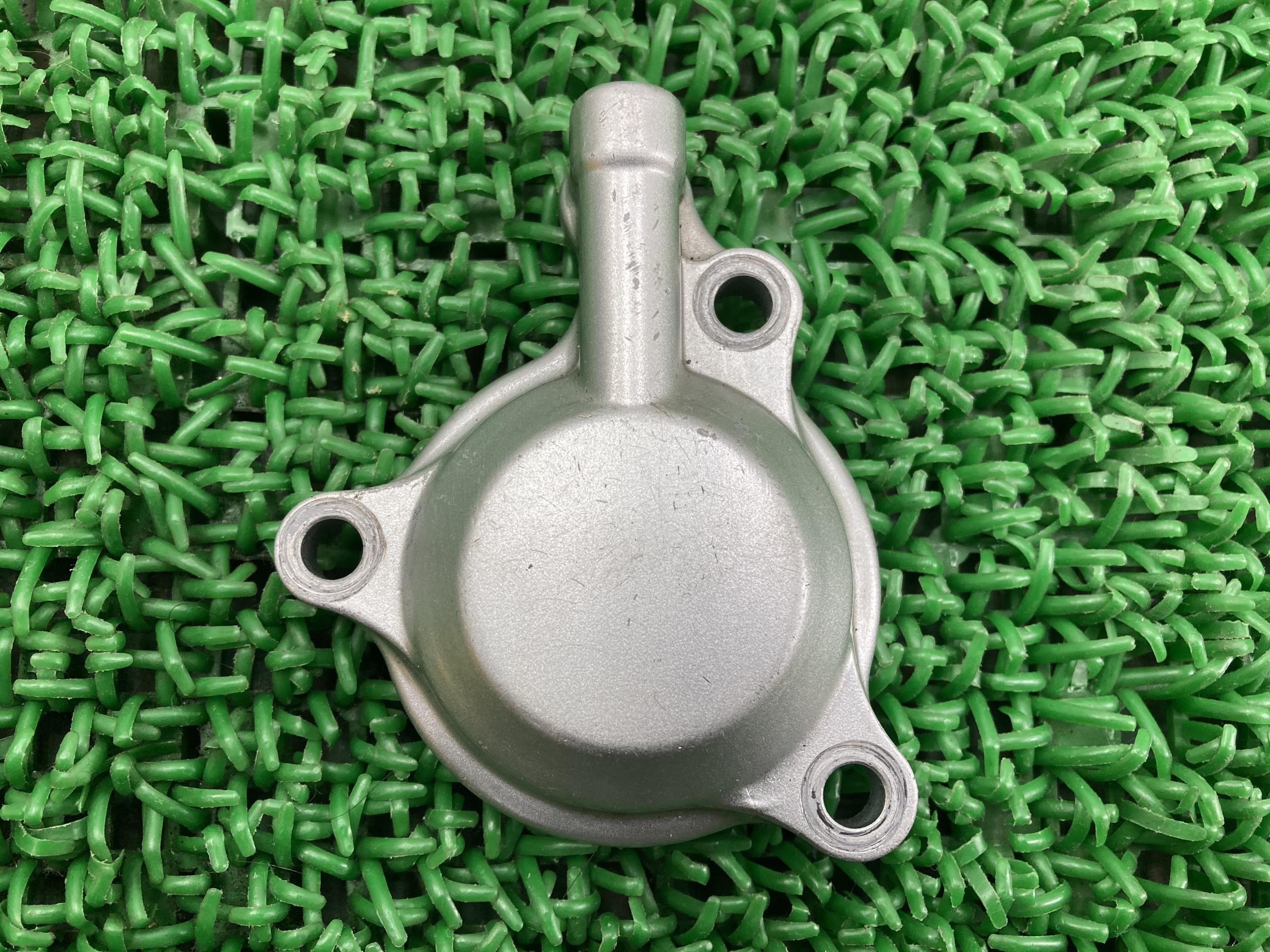 WR250Rオイルフィルターカバーヤマハ純正バイク部品DG15JWR250X割れ欠け無し修復素材にノーマル戻しにそのまま使える車検Genuine【中古】