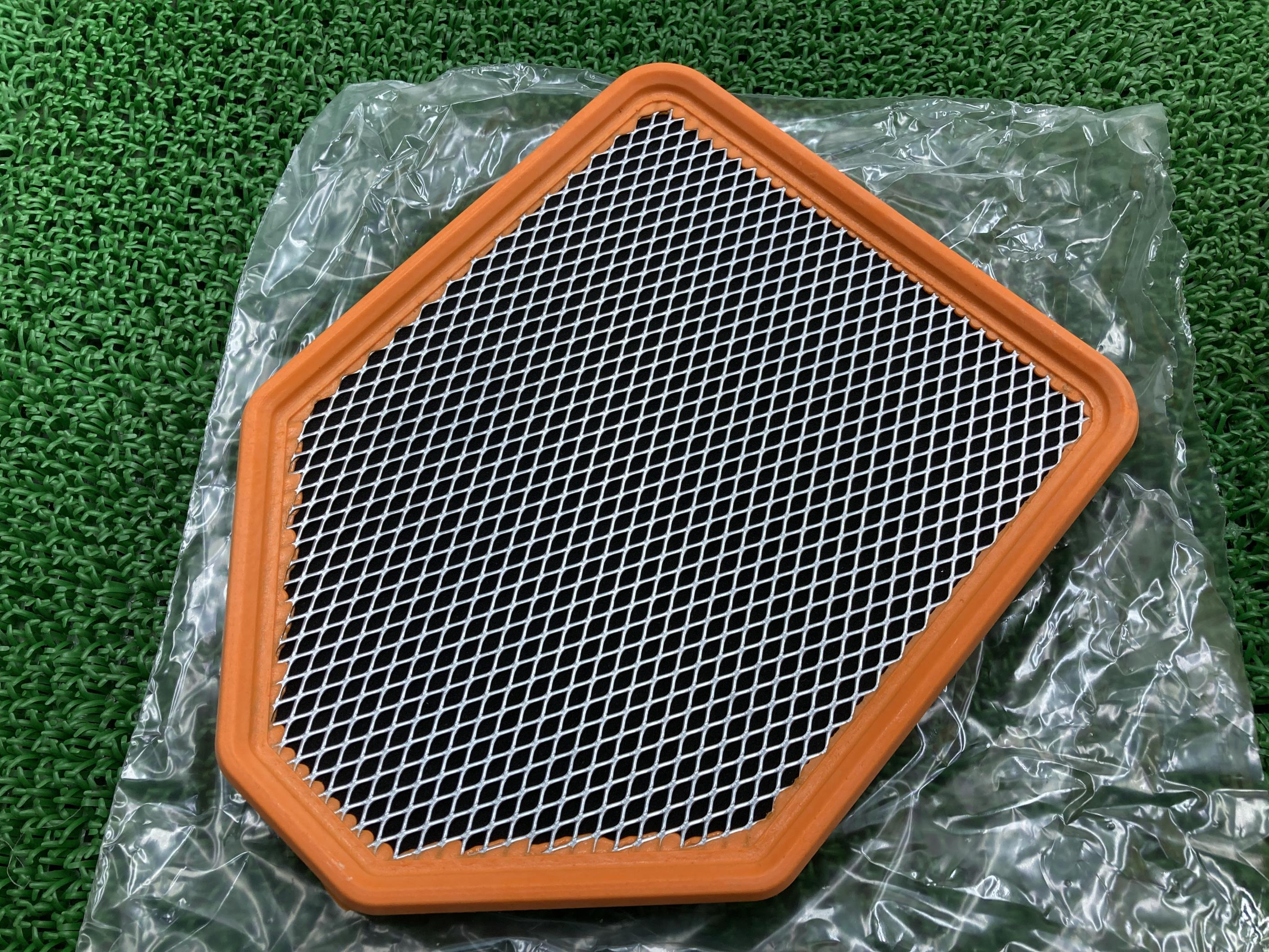 ムルティストラーダ1100 エアフィルター 在庫有 即納 ドゥカティ 純正 新品 バイク 部品 未使用品 ムルティストラーダ620 割れ欠け無し 車検 Genuine ムルティストラーダ1000DS ムルティストラーダ1100S