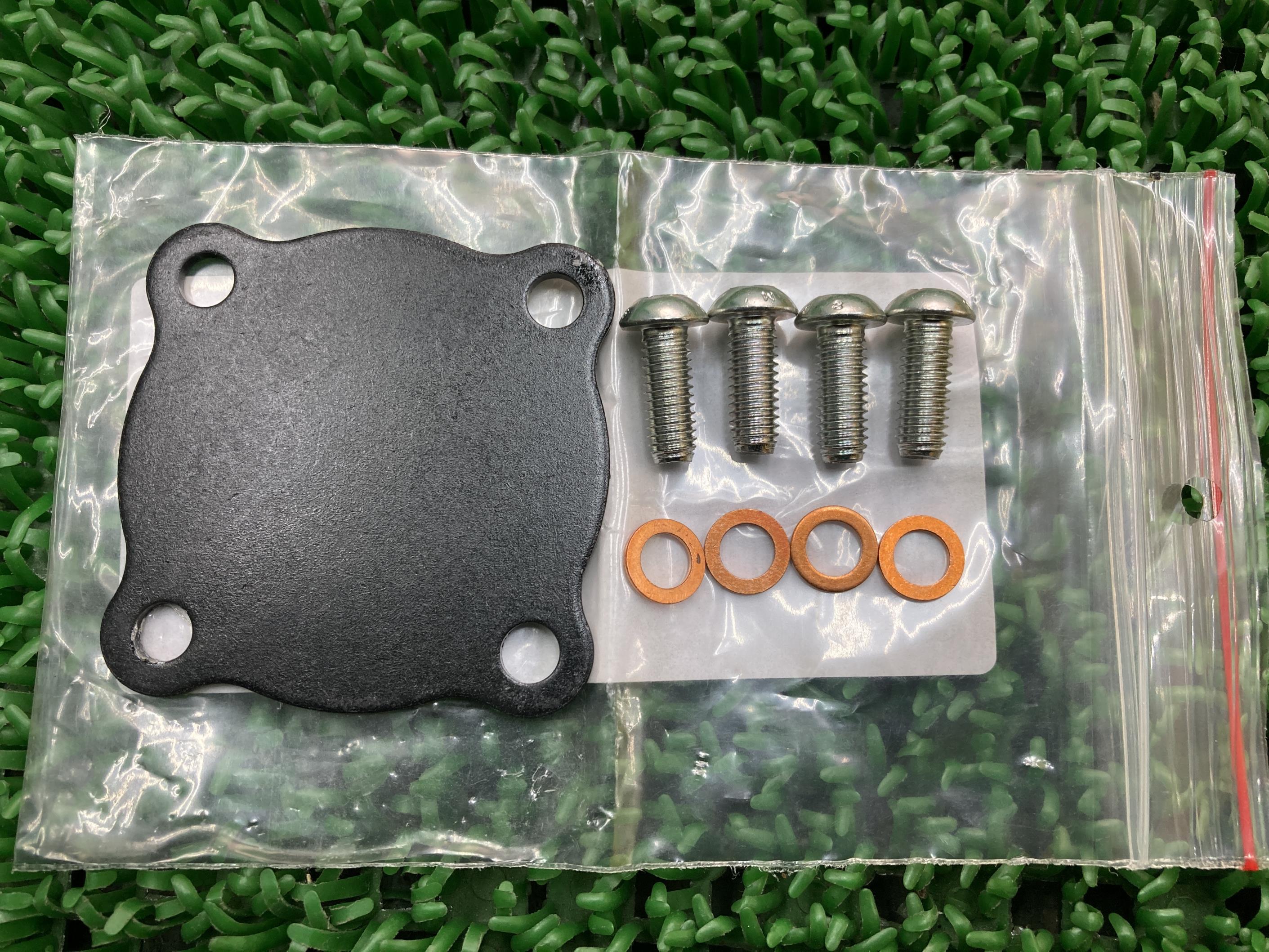 ディアベル1200 ネットフィルターキット 在庫有 即納 ドゥカティ 純正 新品 バイク 部品 未使用品 ムルティストラーダ1200 車検 Genuine 78