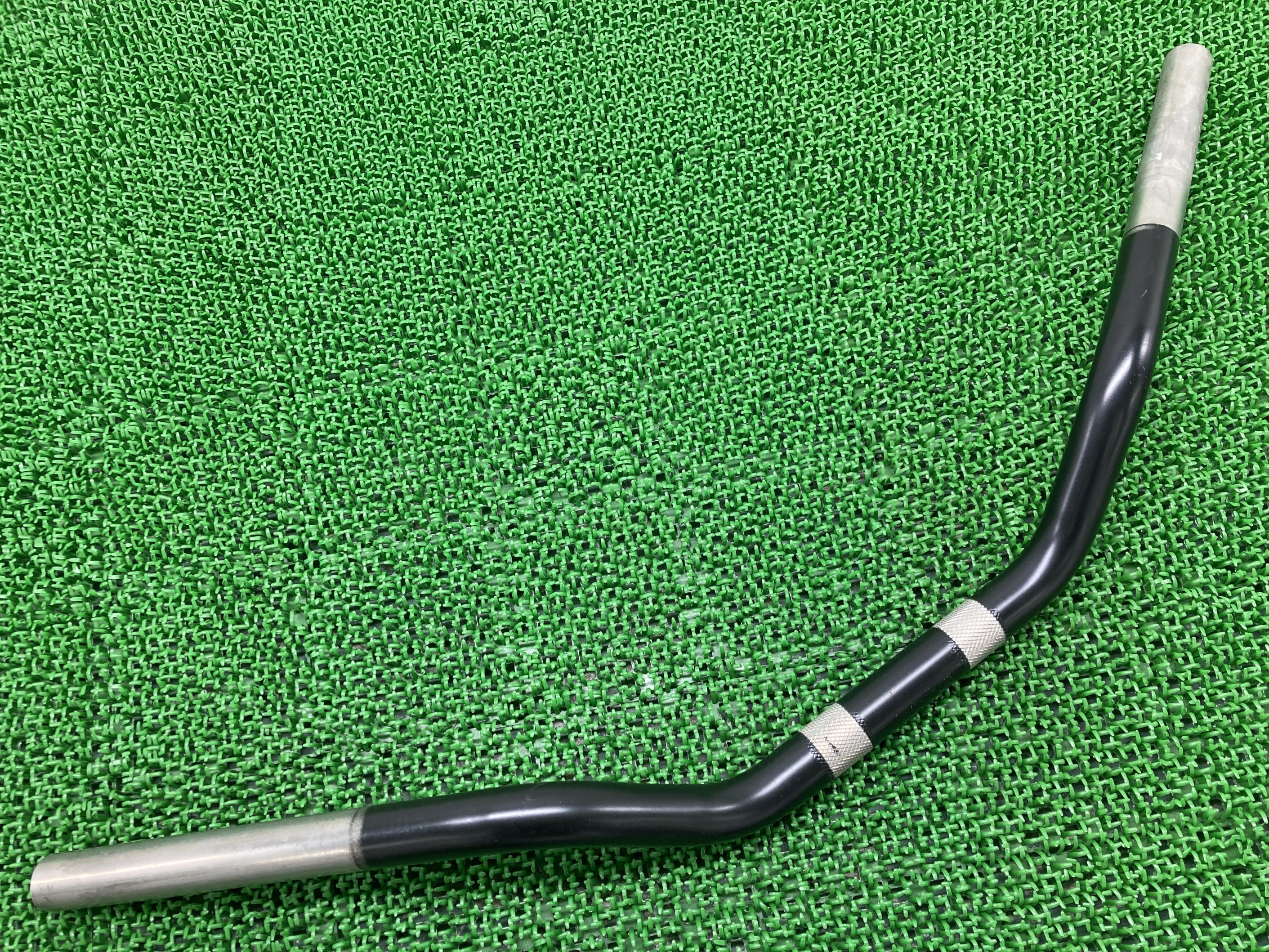 XL1200Xϥɥϡ졼Хʥݡĥեƥȥǥɹʤ̵ָGenuineš 35