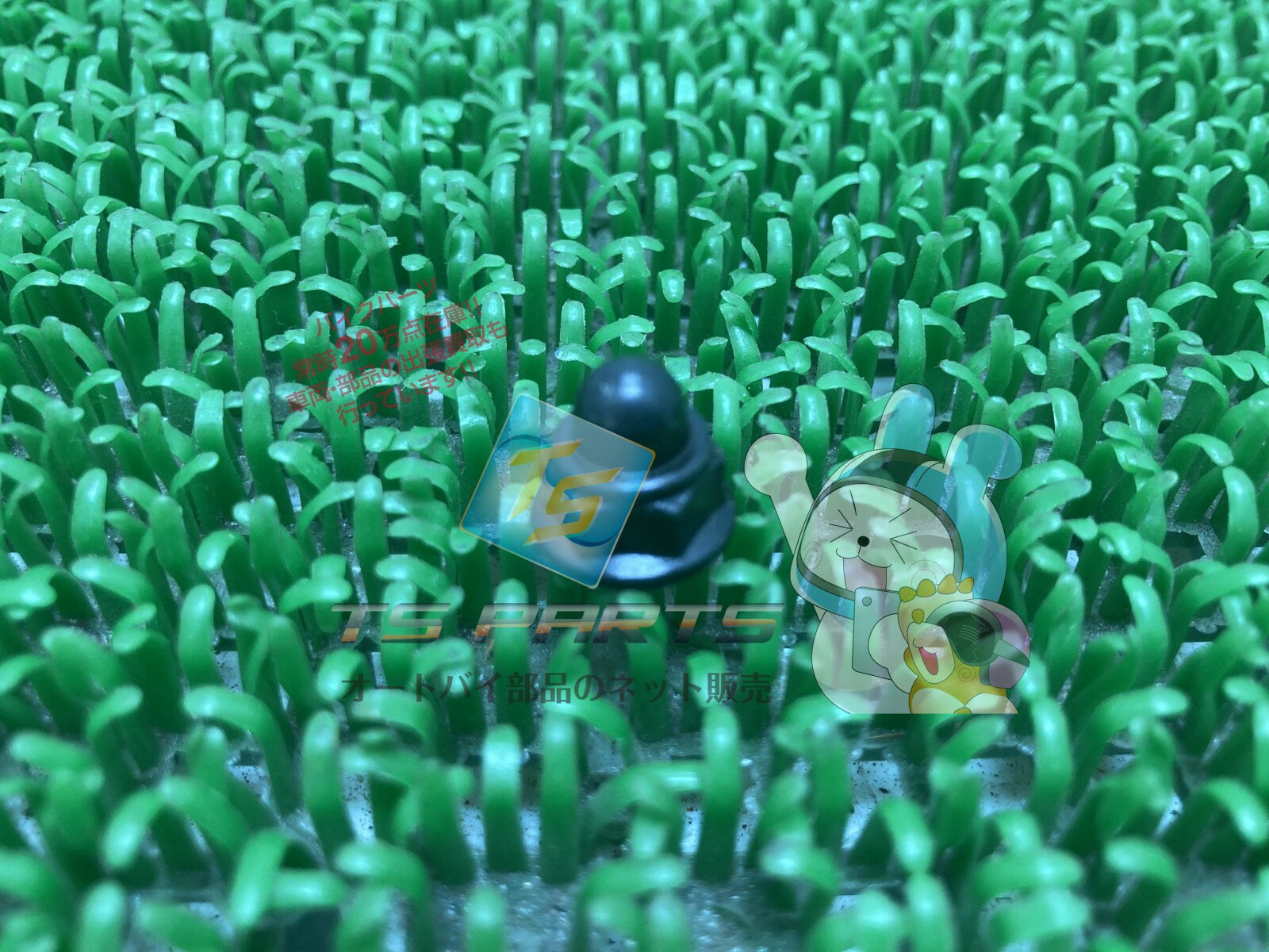 ƥѡġŷԾŹ㤨CBX400F ե󥸥åץʥå ߸ͭ ¨Ǽ ۥ   Х  ߸ͭ ¨Ǽ 6mm ָ Genuine եĥ VT250F CB1100 NS50F ֥650 եꥫĥ С400 С600 ɥ750 SqפβǤʤ680ߤˤʤޤ