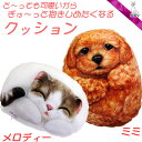 Henry Cats (ヘンリーキャット) かわいい クッション 中 犬 猫 HenryCats&Friends 新生活応援 【RCP】【コンビニ受取対応商品】...