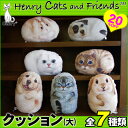 Henry Cats (ヘンリーキャット) 犬 猫 クッション 大 全7種類 HenryCats&Friends 新生活応援 【RCP】【ロッカー受取対応商品】【コンビニ受取対応商品】【メール便不可・宅配便配送】
