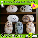 Henry Cats (ヘンリーキャット) 犬 猫 クッション 大 全7種類 HenryCats&Friends 新生活応援 【RCP】【ロッカー受取対応商品】...
