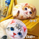 Henry Cats (ヘンリーキャット) 猫型 クッション 小 全2種類 HenryCats&Friends 新生活応援 【あす楽対応】【RCP】【ロッカー受...