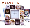 Henry Cats (ヘンリーキャット) フォトフレーム 全4種類 HenryCats&Friends 【DM便(旧メール便)・ネコポス・ゆうパケット対応】【...