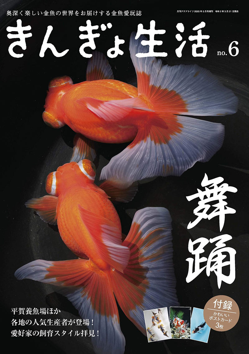 きんぎょ生活 No.6 奥深く楽しい金魚の世界 (年1回発売)【DM便(旧メール便)・ネコポス・ゆうパケット対応】のサムネイル