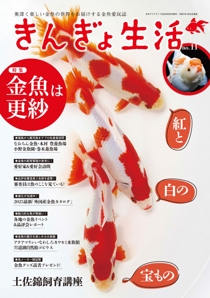 楽天市場】アクアライフの通販