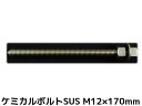 ケミカルボルト アンカーボルト ステンレス SUS M12×170mm 寸切ボルト1本 ナット2個 ワッシャー1個 Vカット 両面カット SUS304