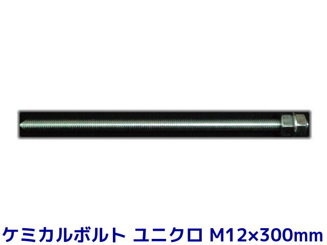 ケミカルボルト アンカーボルト ユニクロメッキ M12×300mm 寸切ボルト1本 ナット2個 ワッシャー1個 Vカット 両面カット