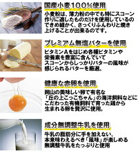8/1-8/31日限定【8月おすすめスコーンセット】「新作マンゴー&クランベリー」新作スコーンに定番スコーン&スティックスコーンをプラスした25個入りセット♪(北海道、沖縄は別途600円)【宅配便】【HLS_DU】