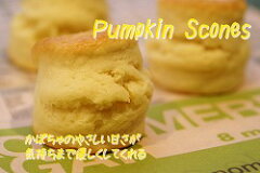 https://thumbnail.image.rakuten.co.jp/@0_mall/tsclover/cabinet/scone/pumpkin1.jpg