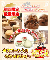 【送料無料】【超赤字価格の初回限定】スコーン全種わがまま福袋セット♪(北海道、沖縄は別途600円)