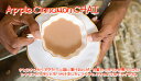 紅茶 フルーツティ アップルシナモンチャイ(100g):当店2番人気のチャイ：AppleCinnamonCHAI 【送料無料：メール便】