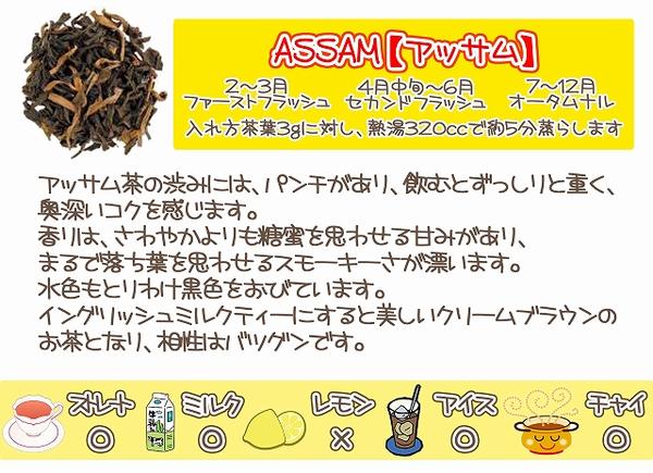 紅茶 インド紅茶 2022年アッサムセカンドフラッシュ・ボルパトラ茶園クオリティーGBOP (100g) 送料無料：メール便