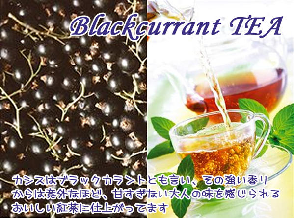 紅茶 フルーツティ「カシス紅茶」(1kg) カシス大人な紅茶 Blackcurrant tea (1000g)【業務用：送料無料：宅配便】 1