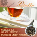 インド紅茶：2023年ダージリンオータムナル秋摘ジエル茶園 Gielle T.E DJ-400 FTGFOP1(100g)