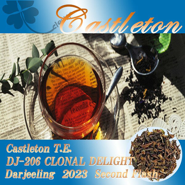 インド紅茶：2023年ダージリンセカンドフラッシュ2番茶・名門キャッスルトン茶園クオリティー・シーズンCastleton T.E. DJ-206 CLONAL DELIGHT(50g) 送料無料：メール便