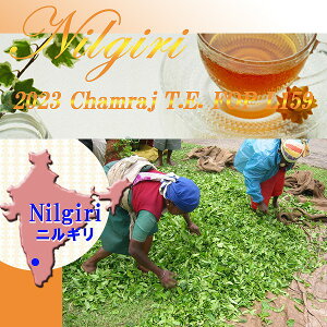 紅茶 インド紅茶：2022年 ニルギリトップクオリティ-・チャムラジChamraj茶園 L-98 FP-SUPREME (50g) 送料無料：メール便
