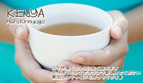 2023年ケニア紅茶：KENYACTC「ケニア」紅茶 業務用 (500g) キリンニャガメルー