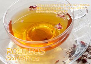 ルイボスティー ROOIBOS 「ルイボス」 (100g)南アフリカティー ノンカフェイン 【送料無料：メール便】