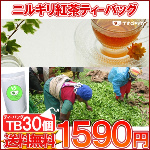 紅茶 ティーバッグ 「ニルギリ紅茶TB30個入り」ガーデンTB メール便：送料無料