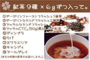 産地別ぷちティーガーデンセット♪産地別リーフ9種類×6gずつ【メール便:送料無料でおためしセット】2012nyhb【YDKG】auktn_fs05P25Jun12
