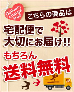 紅茶 フルーツティ「カシス紅茶」(1kg) カシス大人な紅茶 Blackcurrant tea (1000g)【業務用：送料無料：宅配便】 3