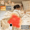 【2025年冬新型】電気毛布 掛け敷き ふわとろ毛布 毛布ブランケット 電気ブランケット ひざ掛け 洗える 電気ブランケット 極上ふわとろ ふわふわ 即暖 保温 2枚合わせ毛布 温度調節 2人ダブル 省エネ ギフト 抗菌防臭 電気掛け敷き毛布 防寒 節電 PSE認証済