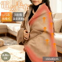 【2025年冬新型】電気毛布 掛け敷き ふわとろ毛布 usb充電式 160cm*80cm 毛布ブランケット 電気ブランケット ひざ掛け 洗える 電気ブランケット 極上ふわとろ ふわふわ 即暖 保温 温度調節 省エネ ギフト 抗菌防臭 電気掛け敷き毛布 防寒 節電 PSE認証済