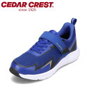 セダークレスト CEDAR CREST CC-3119 キッズ靴 子供靴 靴 シューズ 2E相当 スニーカー ランニングシューズ 透湿 防水 ローカットスニーカー 軽量 屈曲性 運動 スポーツ 通学 学校 体育 部活 ネイビー SP